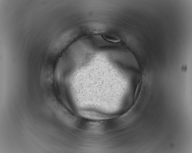 X0000112490170200909071229