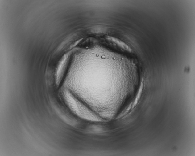 X0000112490171200909071229