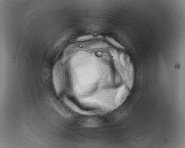 X0000112490173200909071229