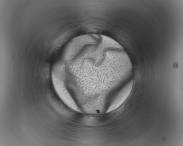 X0000112490174200909071229