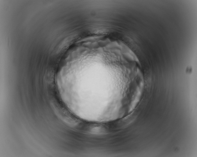 X0000112490175200909071229