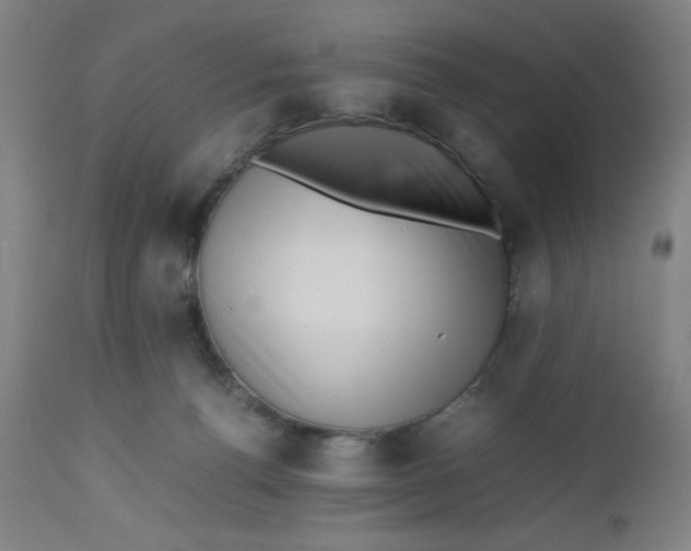 X0000112490176200909071229
