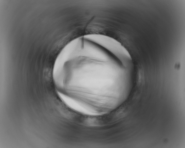 X0000112490177200909071229