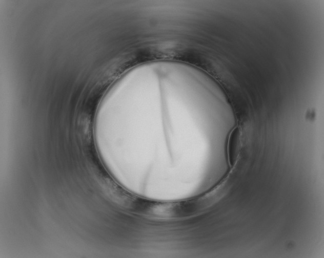 X0000112490178200909071229