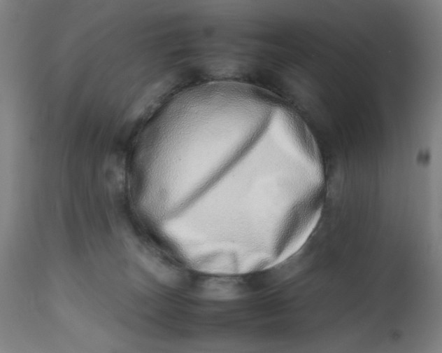 X0000112490179200909071229