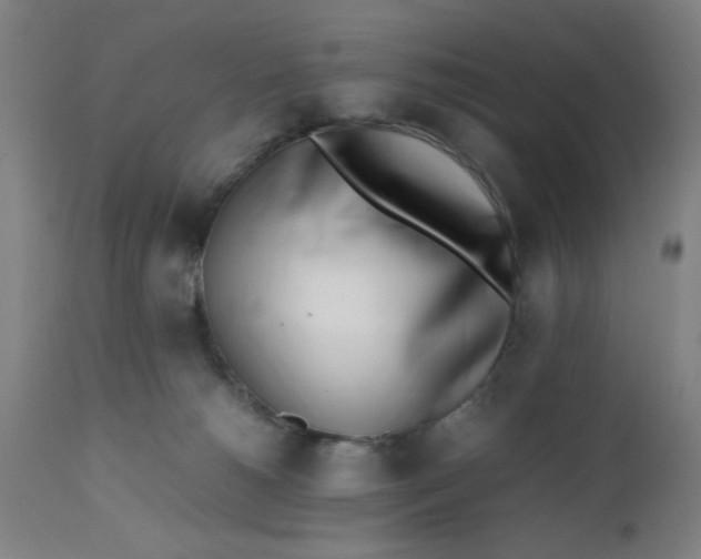 X0000112490180200909071229