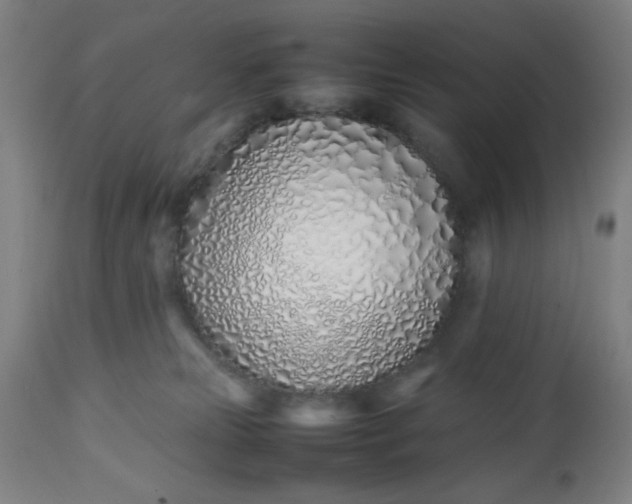 X0000112490181200909071229