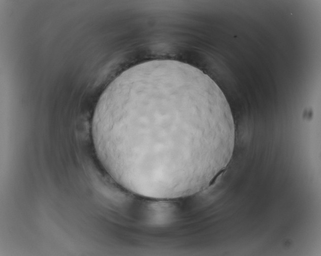 X0000112490183200909071229