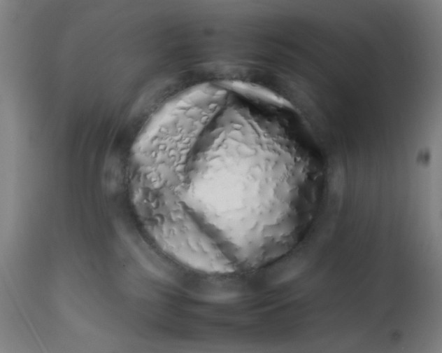 X0000112490185200909071229