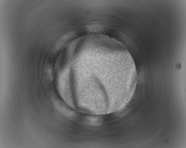 X0000112490187200909071229