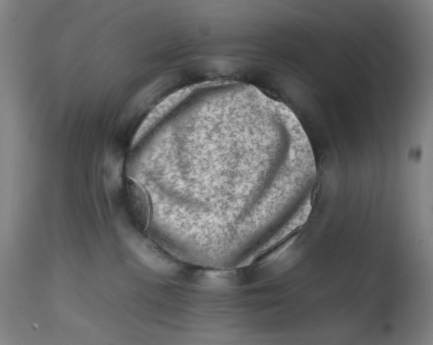 X0000112490188200909071229