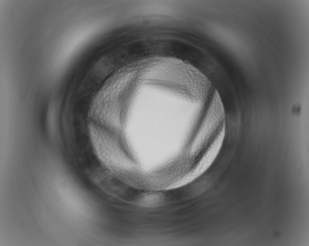 X0000112490189200909071229