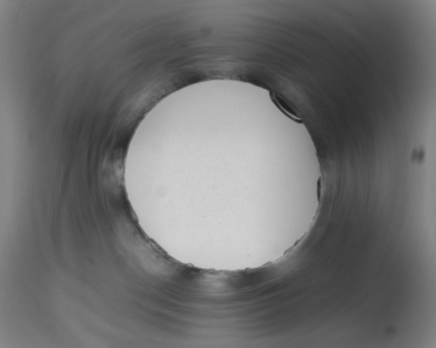 X0000112490190200909071229