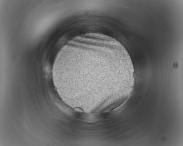 X0000112490191200909071229