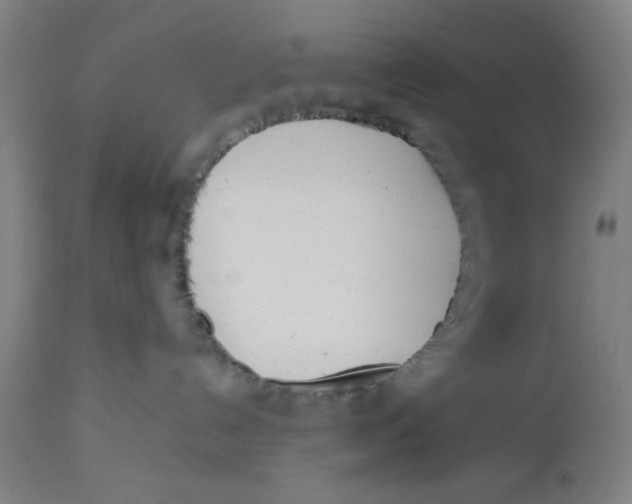 X0000112490192200909071229