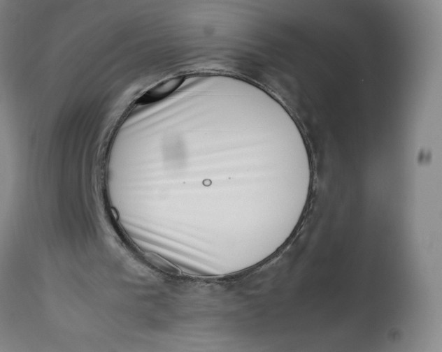 X0000112490193200909071229