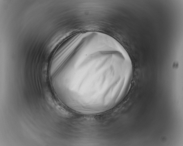 X0000112490194200909071229