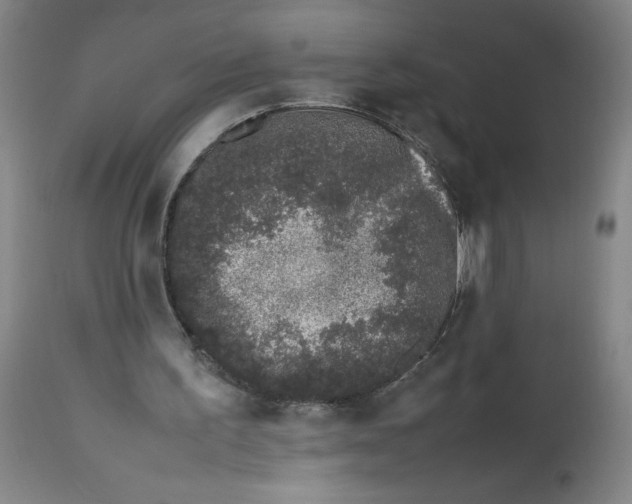 X0000112490195200909071229