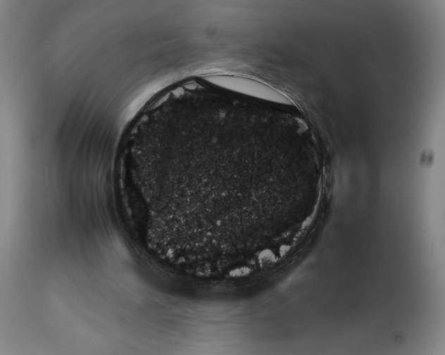X0000112490196200909071229