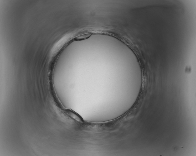 X0000112490197200909071229