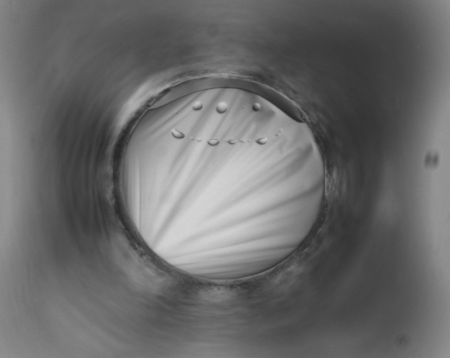 X0000112490198200909071229