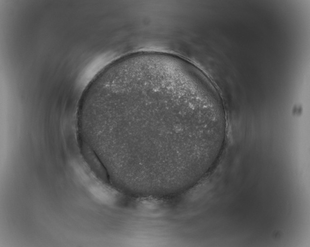 X0000112490199200909071229