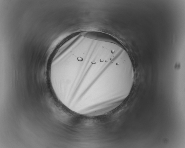 X0000112490200200909071229