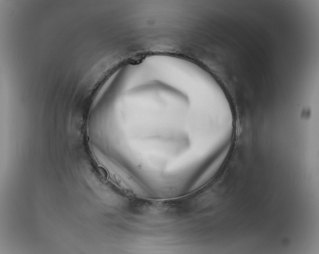 X0000112490201200909071229
