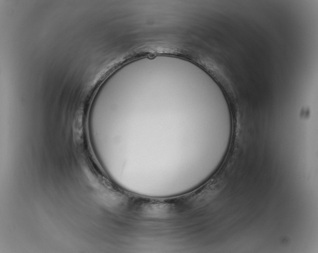 X0000112490202200909071229
