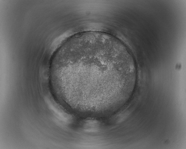 X0000112490203200909071229