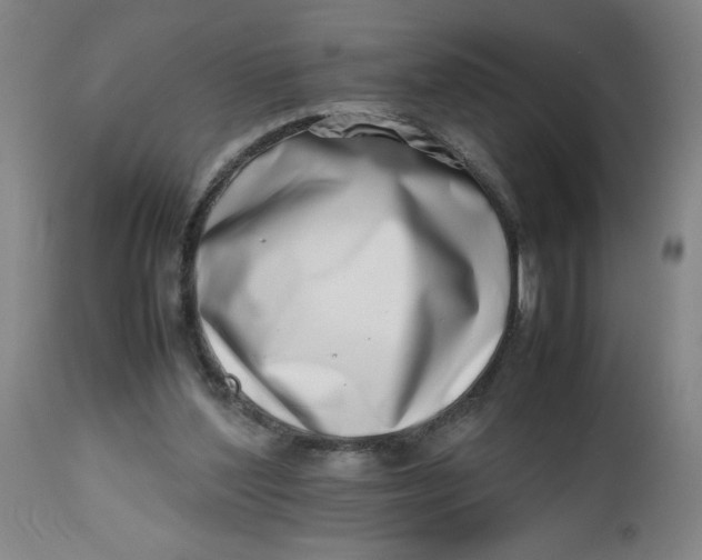 X0000112490204200909071229