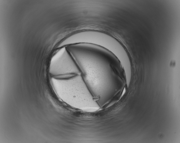X0000112490205200909071229