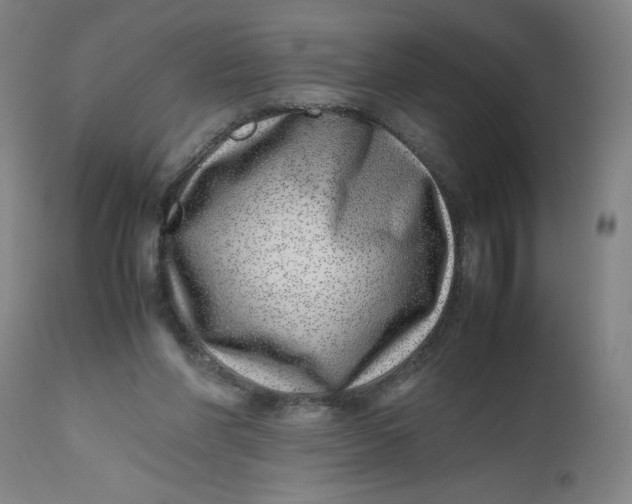 X0000112490206200909071228