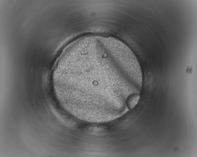 X0000112490208200909071228