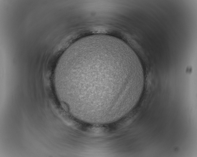 X0000112490209200909071228