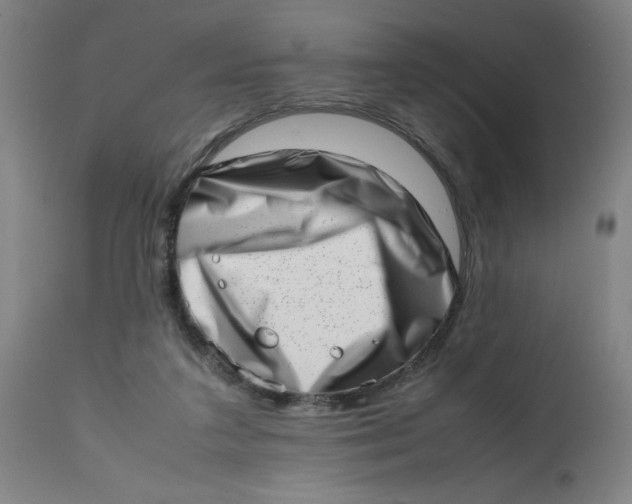 X0000112490211200909071228