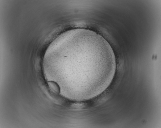 X0000112490213200909071228