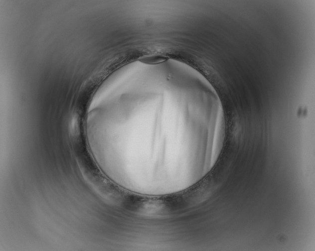 X0000112490214200909071228