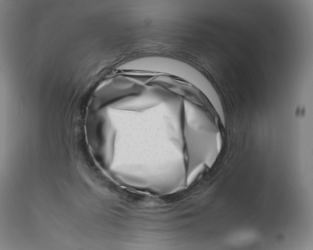 X0000112490215200909071228