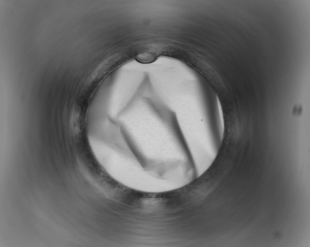 X0000112490216200909071228