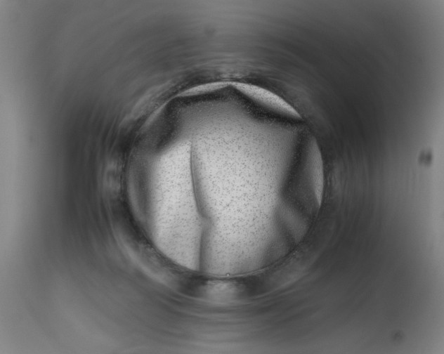 X0000112490218200909071228