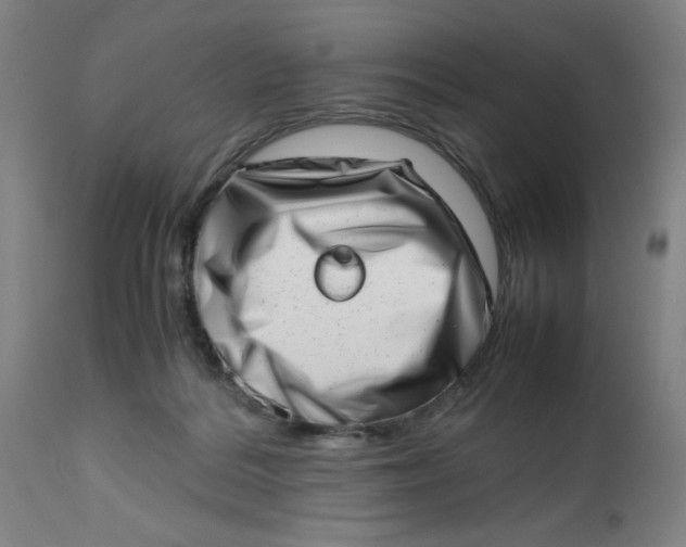 X0000112490220200909071228