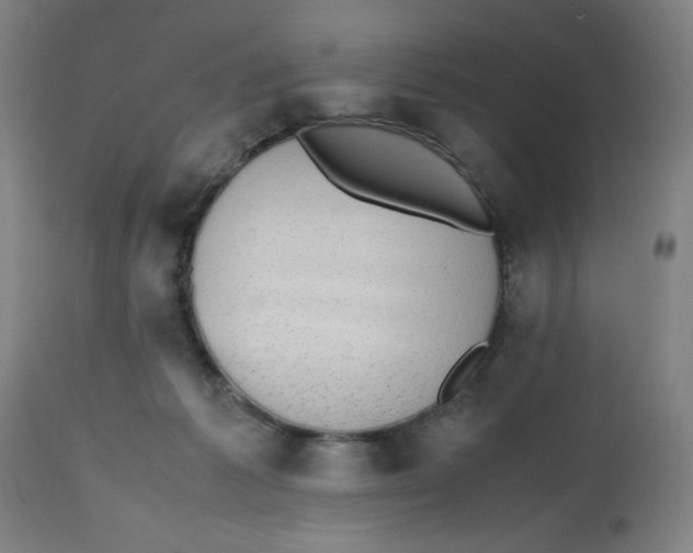 X0000112490221200909071228