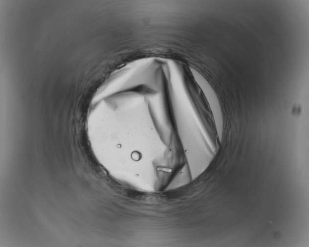 X0000112490223200909071228