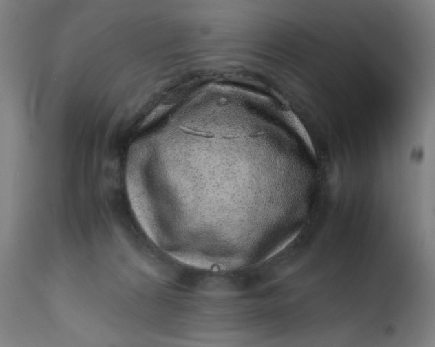 X0000112490224200909071228