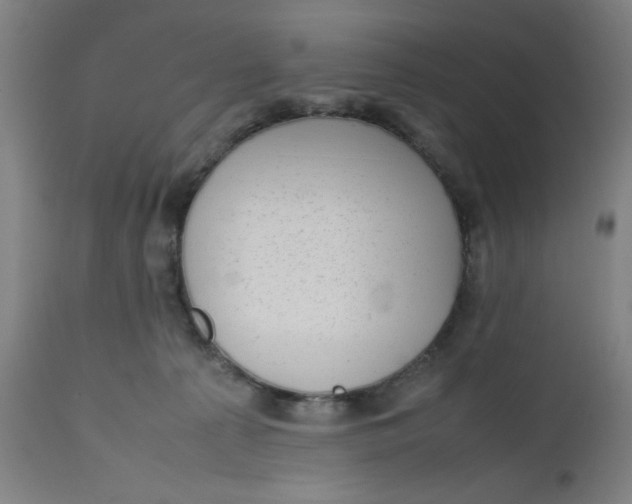 X0000112490225200909071228