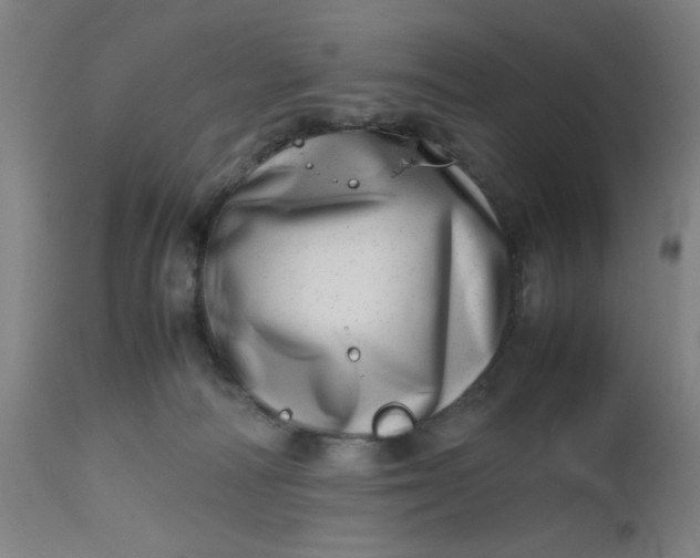X0000112490226200909071228
