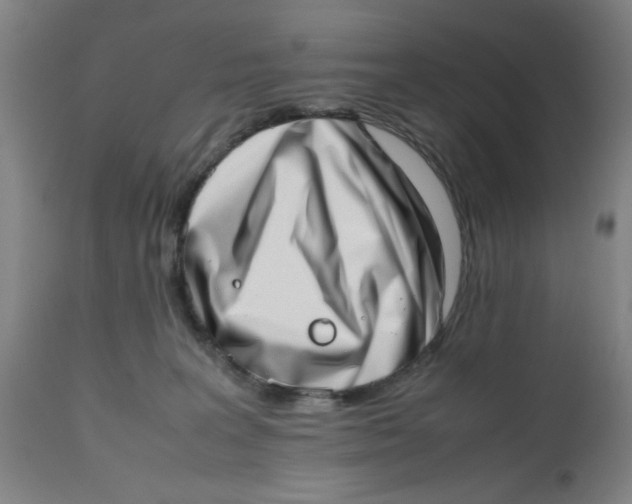 X0000112490227200909071228
