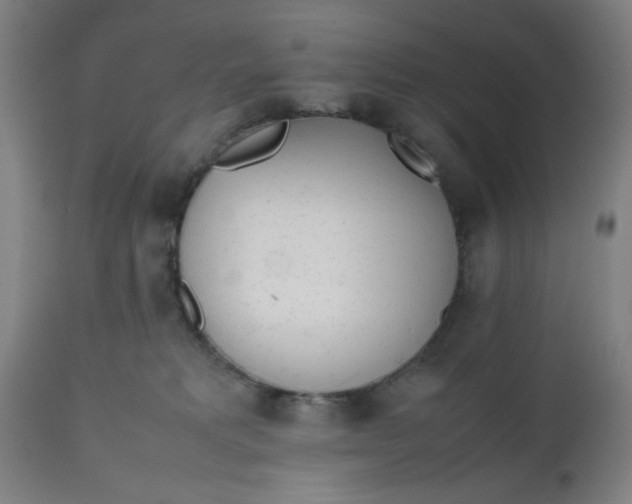 X0000112490229200909071228