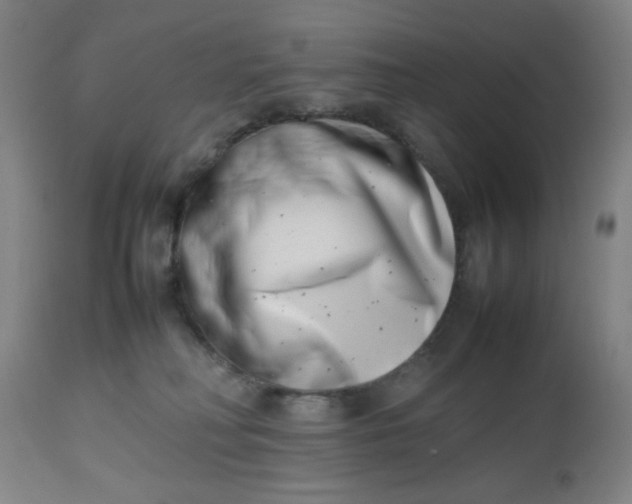 X0000112490230200909071228
